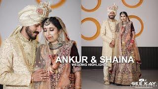 Ankur & Shaina | Wedding day 2019 | A film by Gee Kay Photography