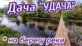 ЗАМАНЧИВОЕ ПРЕДЛОЖЕНИЕ // дача у реки // СТОИТ КУПИТЬ ?