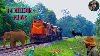 #Chapramari# #RailwayTrack# & #Wildlife# .