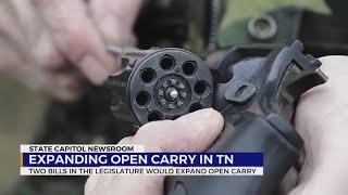 Expanding open carry in Tennessee