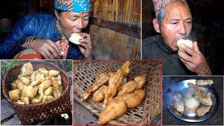 winner dose in the village || jungle man and his wife cooking chayote roots and eating together ||