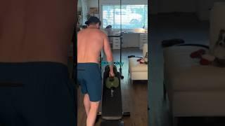 Back day home workout #backday #homeworkout #fitness