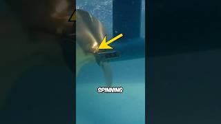 Why Boats Have Hidden Blades #shorts