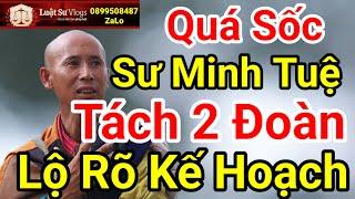  Tin Mới Nhất Sư Thích Minh Tuệ Chia 2 Tăng Đoàn Để Kiểm Tìm Ra Kẻ Phá Hoại? Luật Sư Vlogs