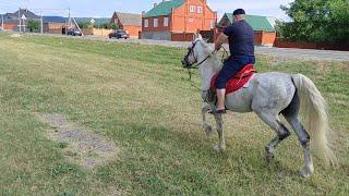 Прогулка в Лес, речке с Подписчикам на Лошадях.