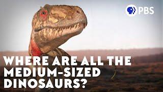 Where Are All the Medium-Sized Dinosaurs?