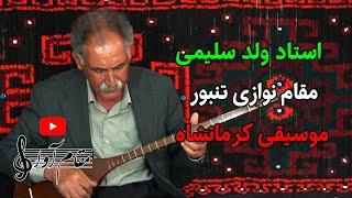 مقام نوازی تنبور استاد ولد سلیمی