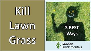 How to Kill Lawn Grass for a New Garden   3 Best Methods Compared