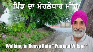 Monsoon Rain Walk in a Village of Punjab - Relaxing Rain Sounds - ਪਿੰਡ ਦੇ ਮੀਂਹ ਦਾ ਨਜ਼ਾਰਾ - 4K