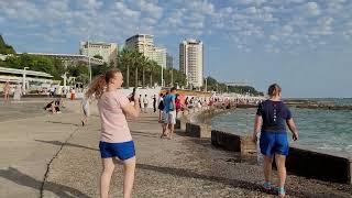 Сочи, порт! 19.09.2022 год. Место,где снимали "Бриллиантовую руку". Собака,что любит кусать волны!