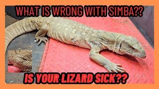 WHAT IS WRONG WITH SIMBA? IDENTIFY YOUR SICK REPTILE! | MONITOR LIZARD