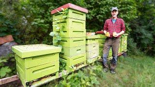 Day in the Life of a Professional Beekeeper