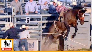 Bronc Riding  2023 West Texas Ranch Rodeo | Friday