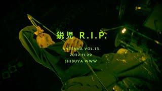 鋭児- R.I.P. @Antenna vol.13