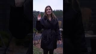 Изменения на участке за год
