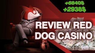 Online Casino Review Red Dog | Best Gambling Sites