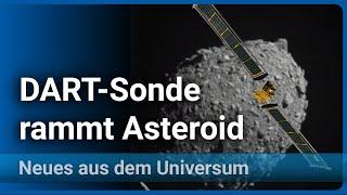 NASA-Sonde DART rammt Asteroiden Didymos B (Dimorphos) • Neues aus dem Universum | Josef Gaßner