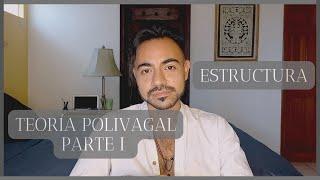 Teoría Polivagal PARTE I (Estructura)