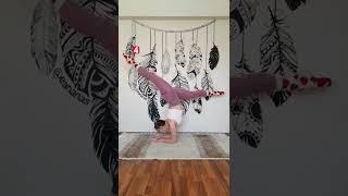 Elbow stand tutorial, don't forget to warm up before doing  #elbowstand #tutorial #gymnastics #yoga