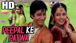 Peepal Ke Patwa| Sonu Nigam, Jaspinder Narula| Sooryavansham 1999 Songs| Amitabh Bachchan, Soundarya