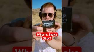 What Is Snake Shot? (Test) *Results* #gun #pewpew #guns