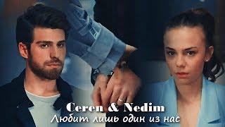 Ceren & Nedim - Любит лишь один из нас (AU)
