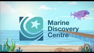 Marine Discovery Centre - Introduction Video 2021