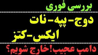 بررسی فوری ارزهای دوج کوین DOGE | پپه PEPE | نات کوین NOT | ایکس X | کتز CATS