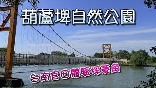 台南官田葫蘆埤自然公園，環湖步道風景優美，快樂體驗採菱角，品味道地菱角冰淇淋，幸福滿滿~