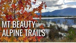 MOUNT BEAUTY //  EASY TRAILS // ALPINE NATIONAL PARK