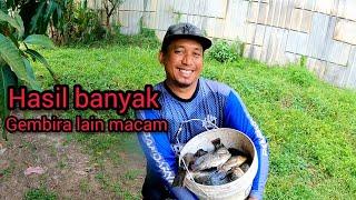 Cari Ikan Talapia Untuk Pekasam Tapi Dapat Lain