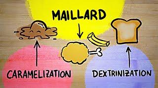 I FINALLY understand the Maillard reaction