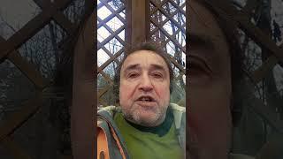 Майснер, Осин, демократические Свободы и Диалектика промежуточного