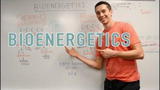 Bioenergetics Explained! (Glycolysis, Krebs Cycle, Oxidative Phosphorylation)