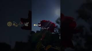 Dil Lagi Song Whatsapp Status by RFAK...#musicxlyrics