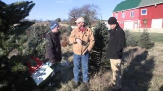 A Visit to Hann's Xmas Tree Farm in Oregon 12-1-13