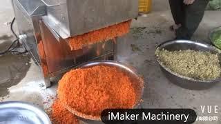 industrial fruit and vegetable crusher machine