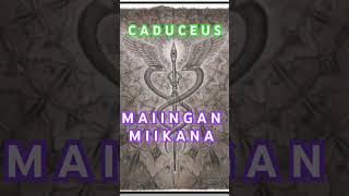 Caduceus- Ma’iingan Miikana #occulthiphop #anishinaabe #nativehiphop #DivocAI .