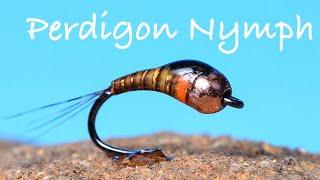 Perdigon Nymph - Fly Tying Instructions by Charlie Craven