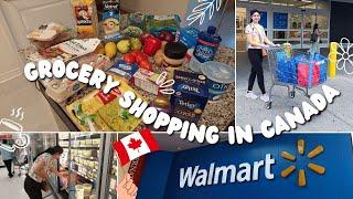 Cost of Groceries in Canada | Mississauga Walmart Grocery Haul @sanyagulatisaxena