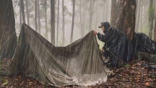 Struggle in Bad Heavy Rain || Heavy Rain in My Japanese Tent Camping