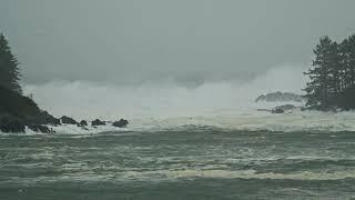 Bomb Cyclone Waves in Ucluelet, Vancouver Island (short teaser, more to come)