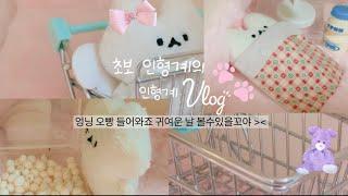 초보 인형계의 인형계 vlog |초보|인형계|브이로그|인형|뽀리|떡상|콩!