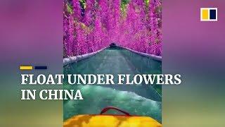 Tourists float under flowers on glass water slide in China