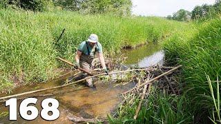 Manual Beaver Dam Removal No.168 - Green Spring