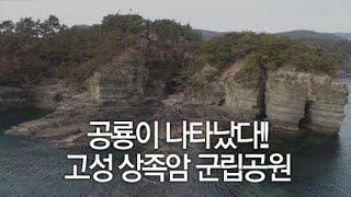 크아아아아앙~! 공룡이 나타났다!! 고성 상족암 군립공원 / YTN 라이프