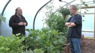 Why use a Polytunnel? - V47