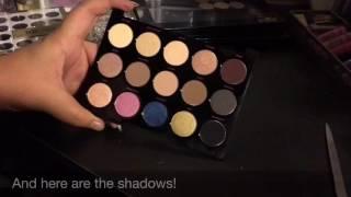 Part 1: Can You Depot the Urban Decay Gwen Stefani Palette?