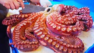 Sea Monster！Giant Octopus Cutting Skills, Octopus Chili Soup-Seafood /深海大海怪！巨大章魚切割技能, 章魚辣醬湯 - 海鮮市場