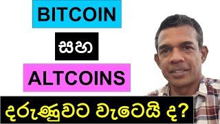 BITCOIN සහ ALTCOINS දරුණුවට වැටෙයි ද? | CRYPTO BULL RUN 2024